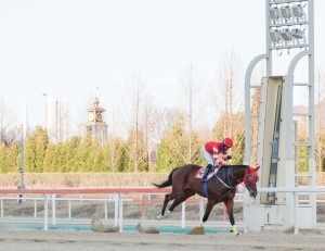기사이미지