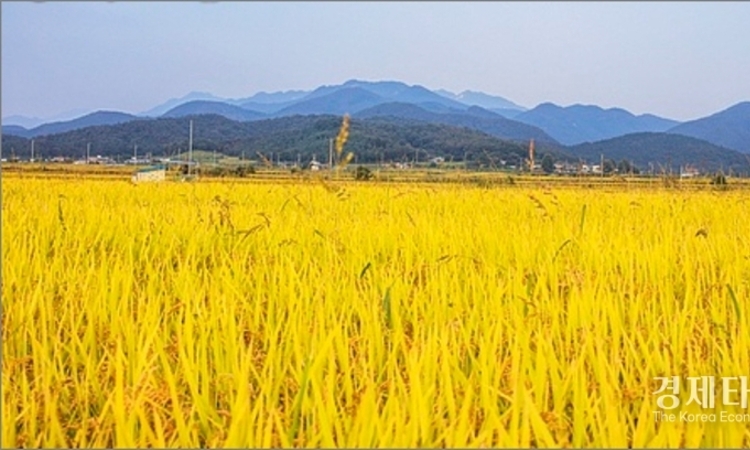 쌀값 폭등한 일본…李대통령, ‘한국산 쌀 수출’ 제안