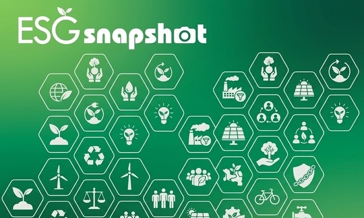 [이슈]3월에만 15조 증발? 상장사 '자사주 소각' 광풍