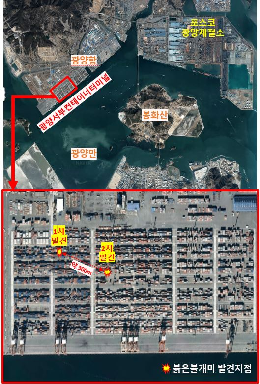 붉은불개미 발견장소 `광양항 서부컨테이너터미널` (자료=농림축산검역본부)