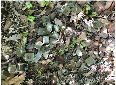 광견병 미끼예방약 살포(예)