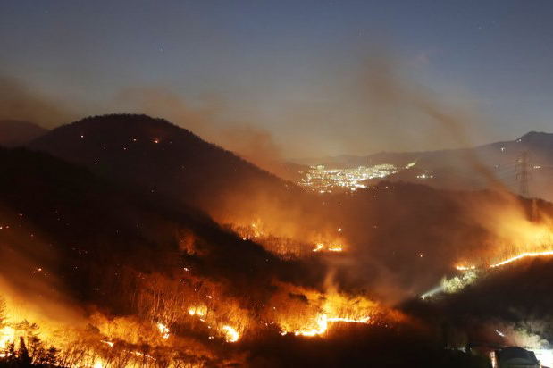 산불 (사진제공=경기도청)