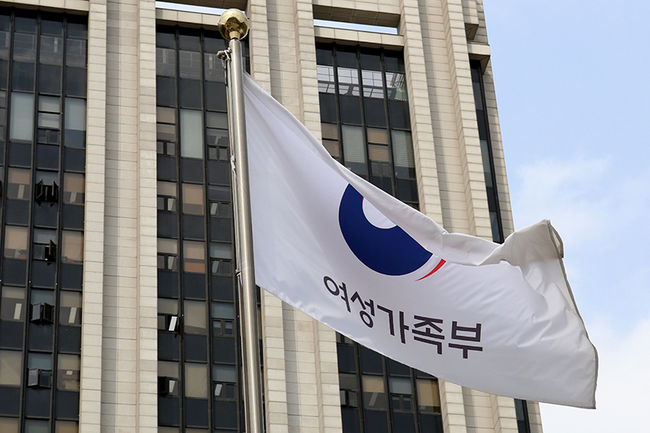 여성가족부가 11일 `청소년복지 지원법 시행령` 일부 개정안이 국무회의에서 의결됐다고 밝혔다.