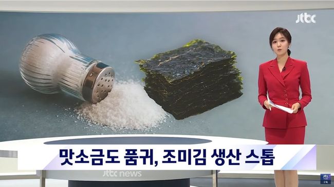 JTBC 뉴스룸의 19일 `