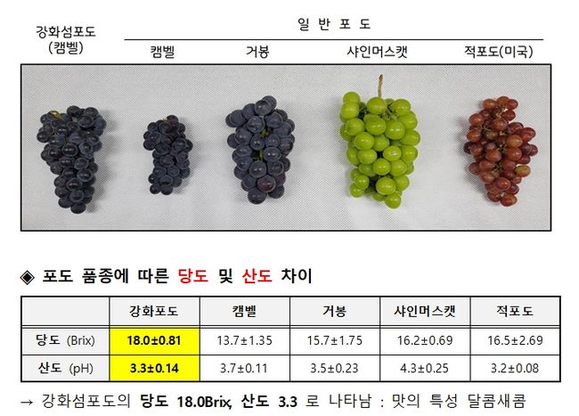 포도 품종별 당도 및 산도 실험 결과