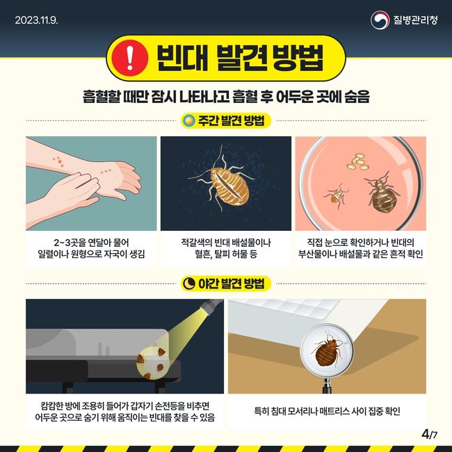 올바른 빈대 관련 정보 안내 및 신속한 방역 지원으로 `빈대 확산 방지 주력`