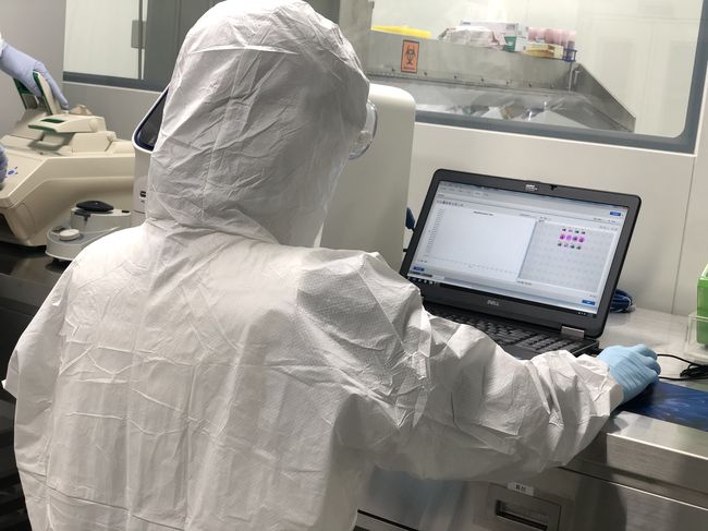 경기도가 백신 접종 후 1개월이 지나고 최근 4주간 소 럼피스킨(LSD) 발생이 없는 수원시부터 시군별 방역대 해제검사를 실시한다고 28일 밝혔다.