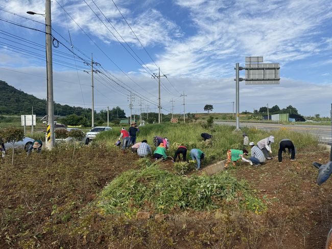 나주시 봉황면 기관 · 사회단체가 `덕룡산 미륵사` 일대 환경정비에 나섰다.
