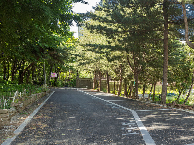 양천구, 수명산 거주자우선주차장 조성 후