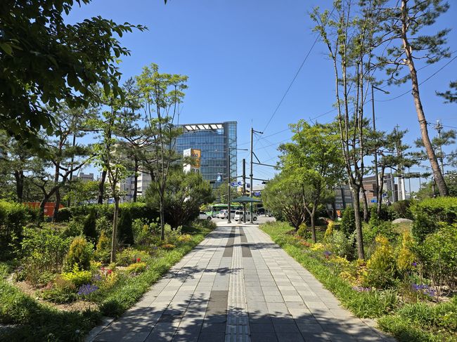 강서구청 사거리 정원