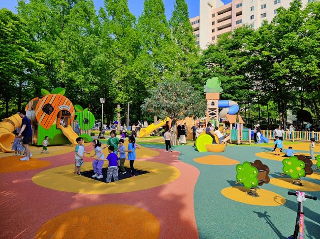 과천시가 중앙공원 놀이터에 새롭게 단장해 조성한 `아이나무 놀이터` 모습