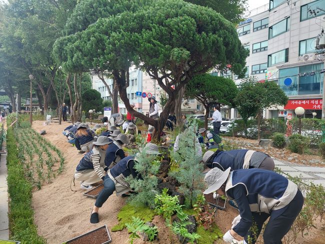 화관목 식재 모습