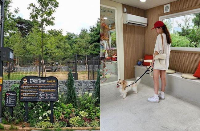은평구, `반려견 놀이터에서 댕댕이와 행복한 추억 만들어요`