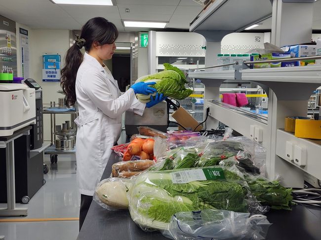 광주시, 김장철 농산물 안전 촘촘히 살핀다