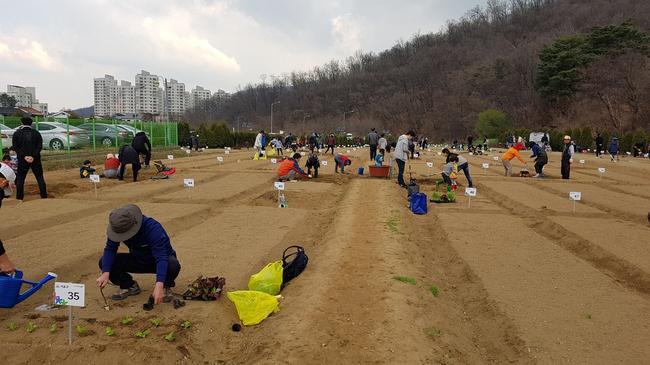 서초구, 도심 속 힐링공간 `도시텃밭` 개장