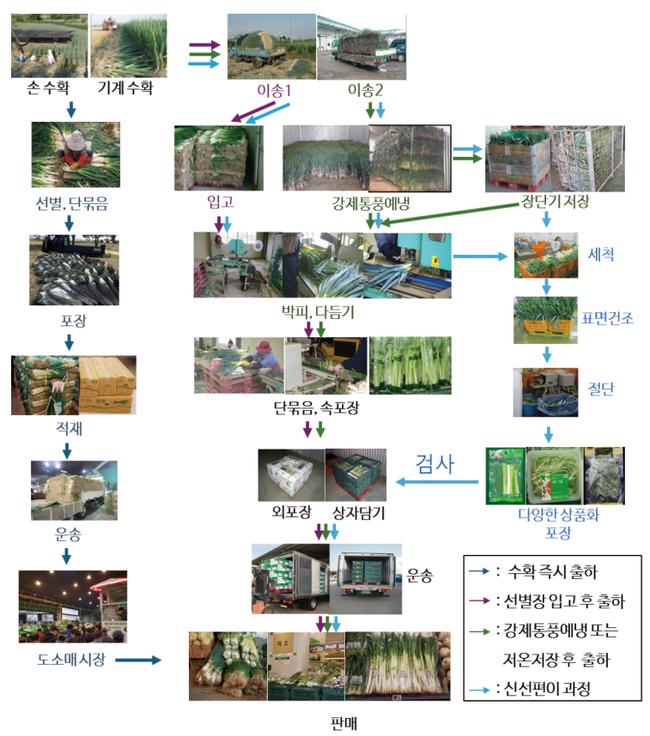 대파 수확 후 관리 일관 시스템