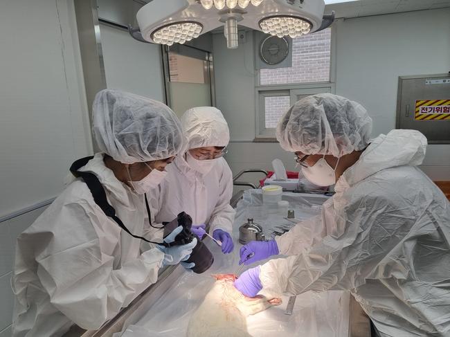 경기도 동물위생시험소, 7월부터 `수의법의검사` 시작